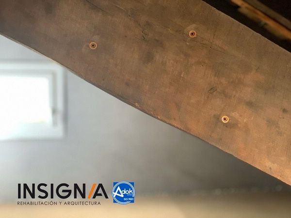 solucion plaga de termitas en estructura de madera del tejado. Bizkaia