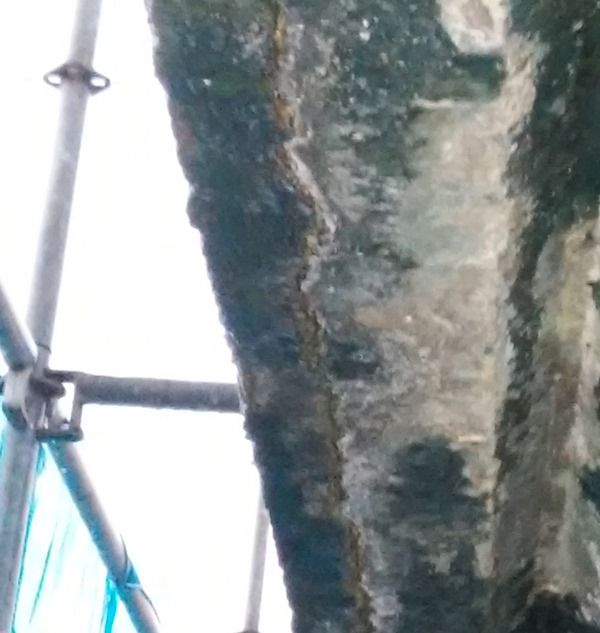 Restauración de alero de fachada en vivienda Getxo Bizkaia