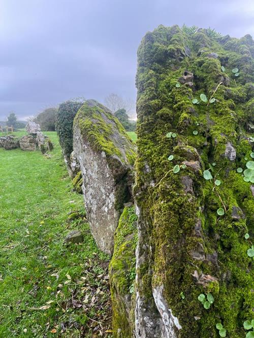 piedras en posicion vertical circulo megalitico mas grande de irlanda en lough gur
