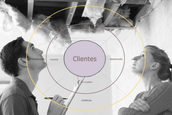 organigrama circular de Insignia Rehabilitación y Arquitectura