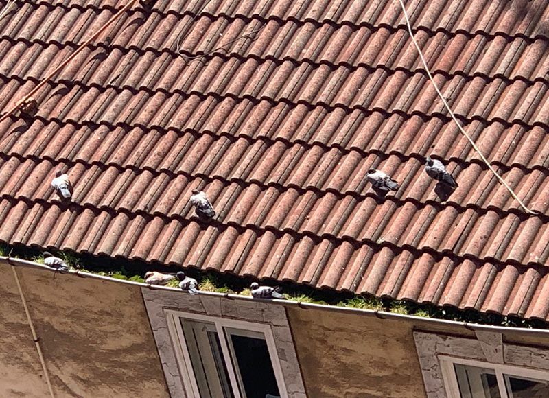 limpieza de tejados en bilbao