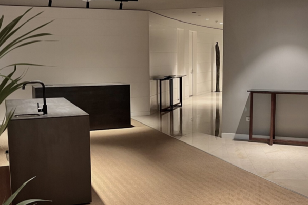 salón minimalista en proyecto de interiorismo y rehabilitación de vivienda en Bizkaia